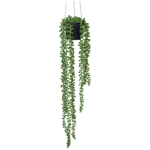 HANGING DONKEY TAIL IN POT 60CM TRANS NATAL CUT GLASS