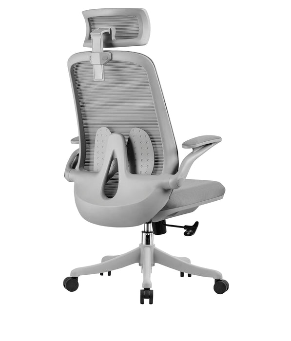 HT-286AG HIGHBACK REV CHAIR (LIGHT GREY-120KG