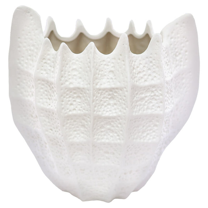 SHELL VASE 20CM WHITE TRANS NATAL CUT GLASS