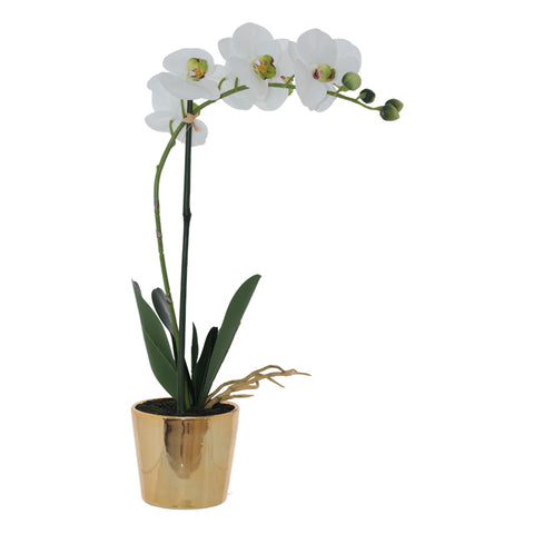 WHITE ORCHID IN GOLD POT TRANS NATAL CUT GLASS