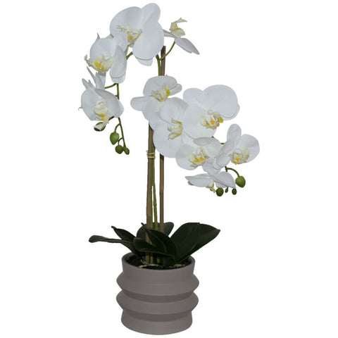 WHITE REAL ORCHID RIPPLE POT 58CM TRANS NATAL CUT GLASS