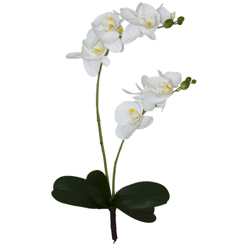 WHITE REAL TOUCH ORCHID SPRAY 48CM TRANS NATAL CUT GLASS