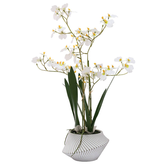 REAL TOUCH WHITE ONCIDIUM 56CM TRAN