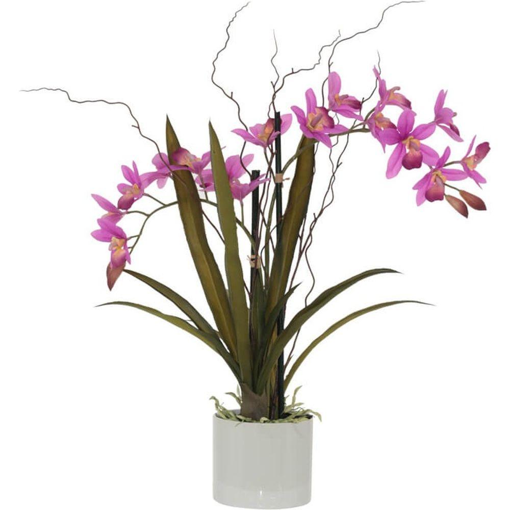 HOT PINK ORCHID IN POT 51CM