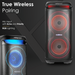 VOLKANOX VXP200 DUAL 6.5" PARTY SPEAKER  - BLACK VOLK