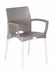 CONTOUR ALEXIS CHAIR - CAPPUCCINO BUZZ