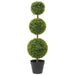 TEAGRASS TRIPLE TOPIARY 100CM TRAN