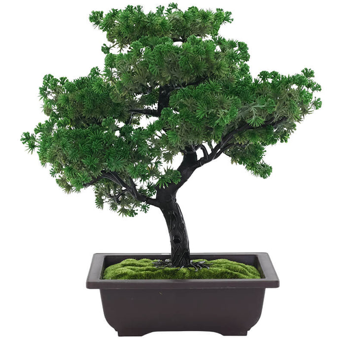 BONSAI PLANT WITH PLASTIC POT 40CM TRAN