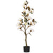 WHITE MAGNOLIA TREE IN POT 120CM TRAN