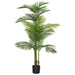 PALM IN POT 150CM TRAN