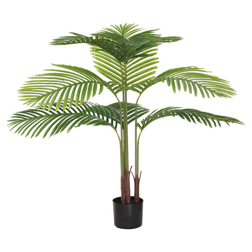 PALM IN POT 95CM TRAN