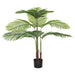 PALM IN POT 95CM TRAN