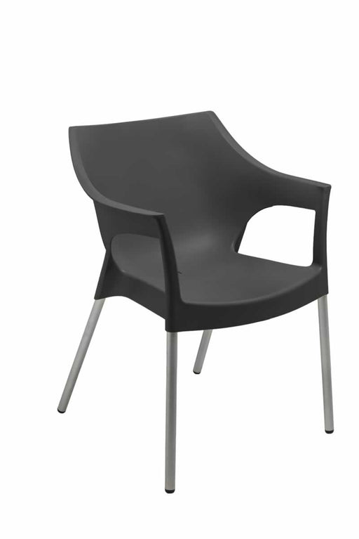 CONTOUR CHELSEA CHAIR - BLACK BUZZ