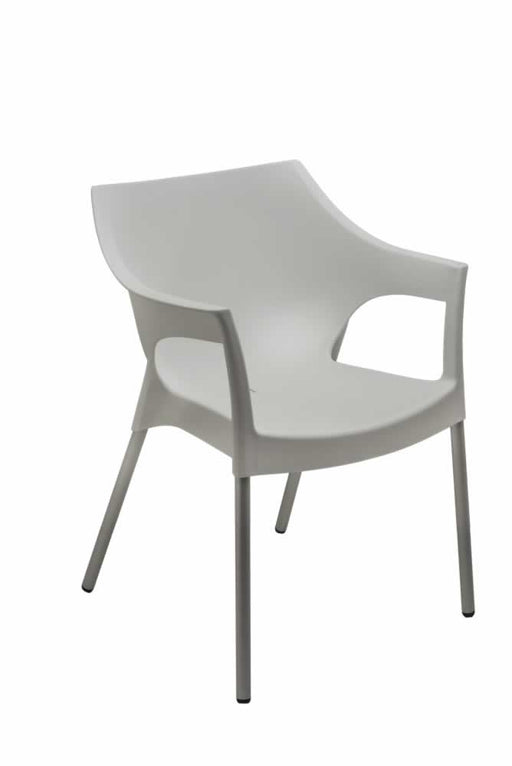 CONTOUR CHELSEA CHAIR - WHITE BUZZ