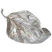 LELE CURVED LEAF ROUGH NICKEL 50X TRAN