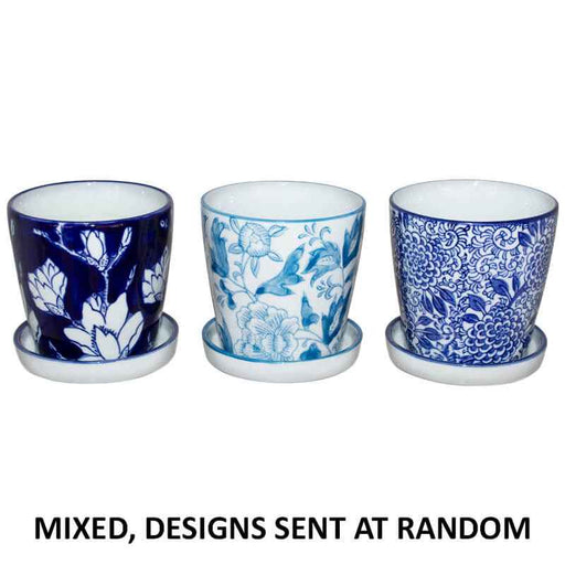 PAROS PLANTER MIXED 11CM TRAY TRAN