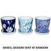 PAROS PLANTER MIXED 11CM TRAY