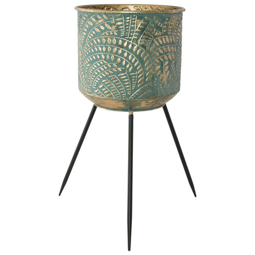 GREEN/GOLD TRIPO5 LARGE 61CM TRAN