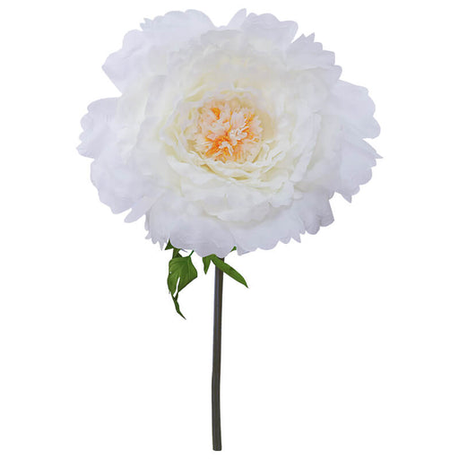 CREAM PEONY STEM 140CM TRAN