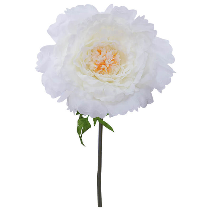 CREAM PEONY STEM 140CM TRAN