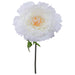 CREAM PEONY STEM 140CM TRAN