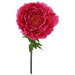 FUSSCHIA PEONY STEM 130CM HIGH 42CM DIAMETER TRAN