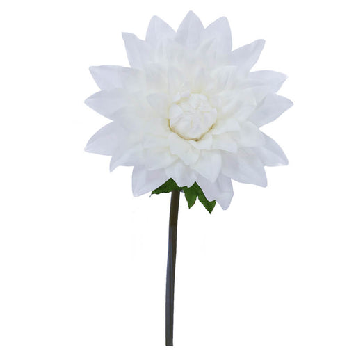 CREAM DAHLIA STEM 120CM TRAN