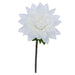 CREAM DAHLIA STEM 120CM TRAN