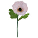 PEACH COREOPSIS STEM 128CM HIGH 35CM DIAMETER TRAN