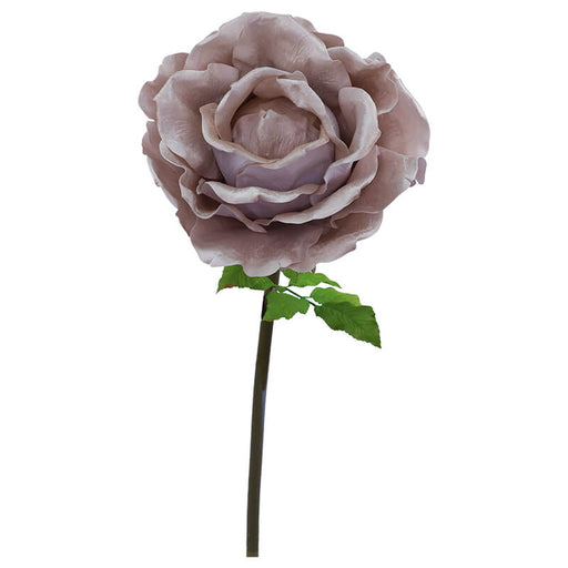 CHAMPAGNE VELVET ROSE STEM 136X40CM TRAN