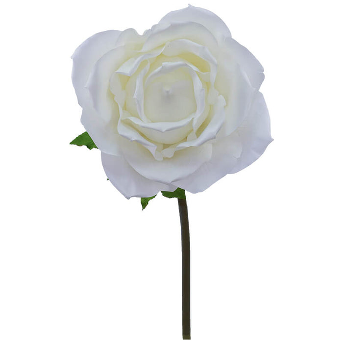 CREAM ROSE STEM 136X40CM TRAN