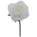 CREAM ROSE STEM 136X40CM TRAN