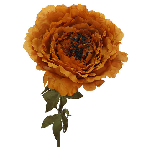 RUST PEONY WITH STEM 130X40CM TRAN