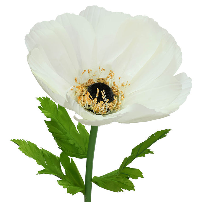 COREOPSIS WITH STEM CREAM 140X50C TRAN