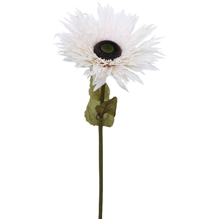 FALL CREAM GERBERA 152CM TRAN