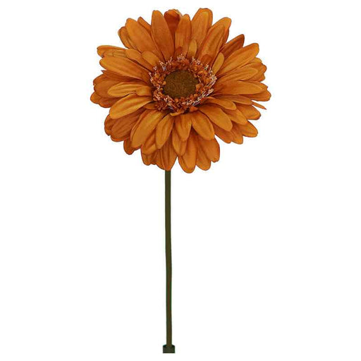 RUST DAISY 103CM