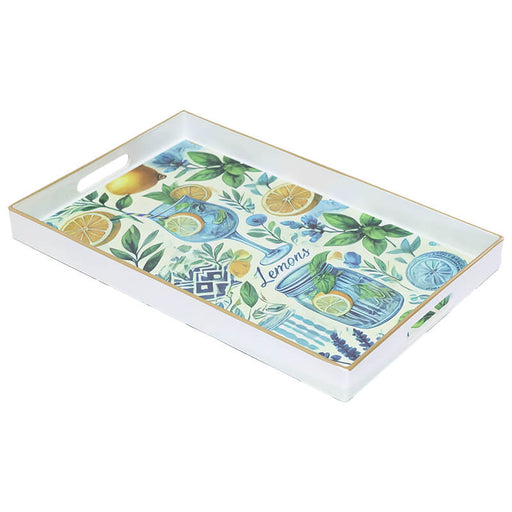 DECORATIVE RECT TRAY 40X26X4CM TRAN