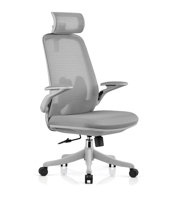 HT-286AG HIGHBACK REV CHAIR (LIGHT GREY-120KG