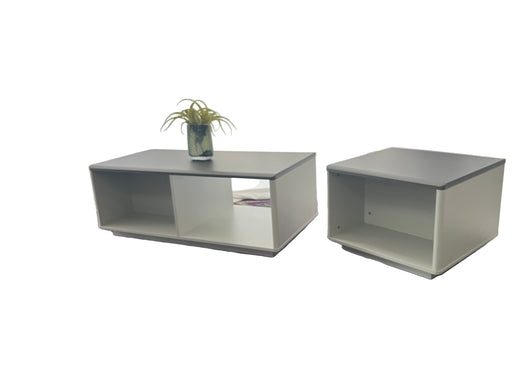 OZ-3715-12 + OZ-3715-06 COFFEE AND SIDE TABLE (MUSHANGOK/GRE STEL