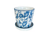 PAROS PLANTER MIXED 11CM TRAN