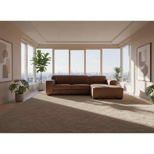 Brown sectional sofa on a white blanket with boxes labeled 'nictus' in the background.