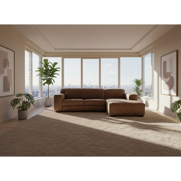 Brown sectional sofa on a white blanket with boxes labeled 'nictus' in the background.