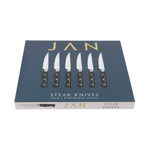 JAN 11CM STEAK KNIFE 6PC SET IN MAGNETIC BOX LAVISH'D