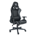 ASTRO GAMING CHAIR (PU - BLACK) 120KG EVER