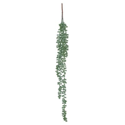 PEARL SUCCULENT STRING 60CM TRAN