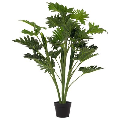 DELICIOUS MONSTER IN POT 95CM TRAN