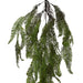 FEATHER HANGING FERN 106CM TRAN