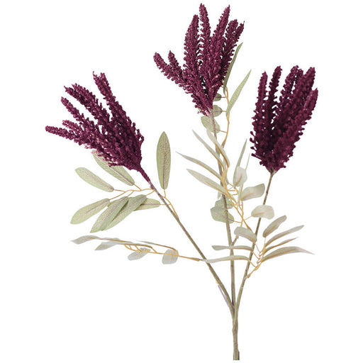 AMARANTHUS PURPLE STEM 84CM TRAN