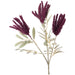 AMARANTHUS PURPLE STEM 84CM TRAN