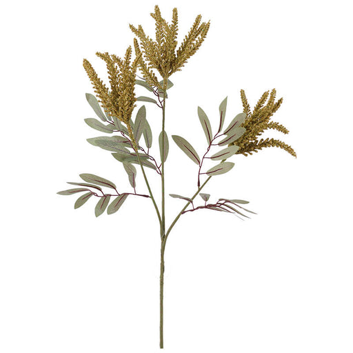 AMARANTHUS YELLOW STEM 84CM TRAN